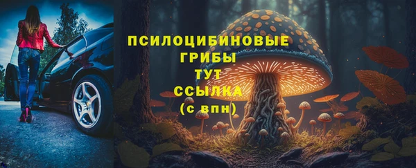 СК Балахна